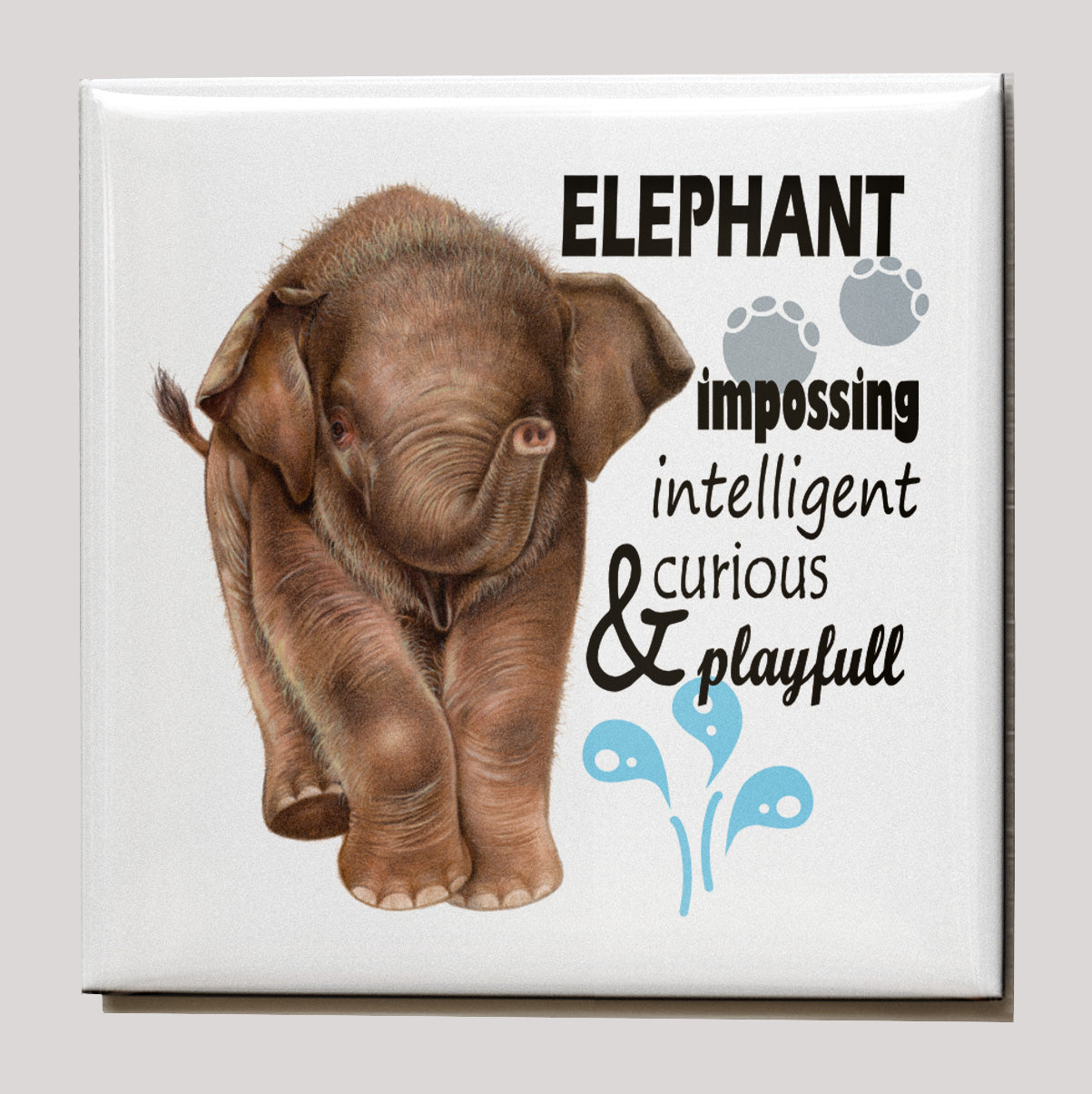 Koelkastmagneet - Olifant met tekst
