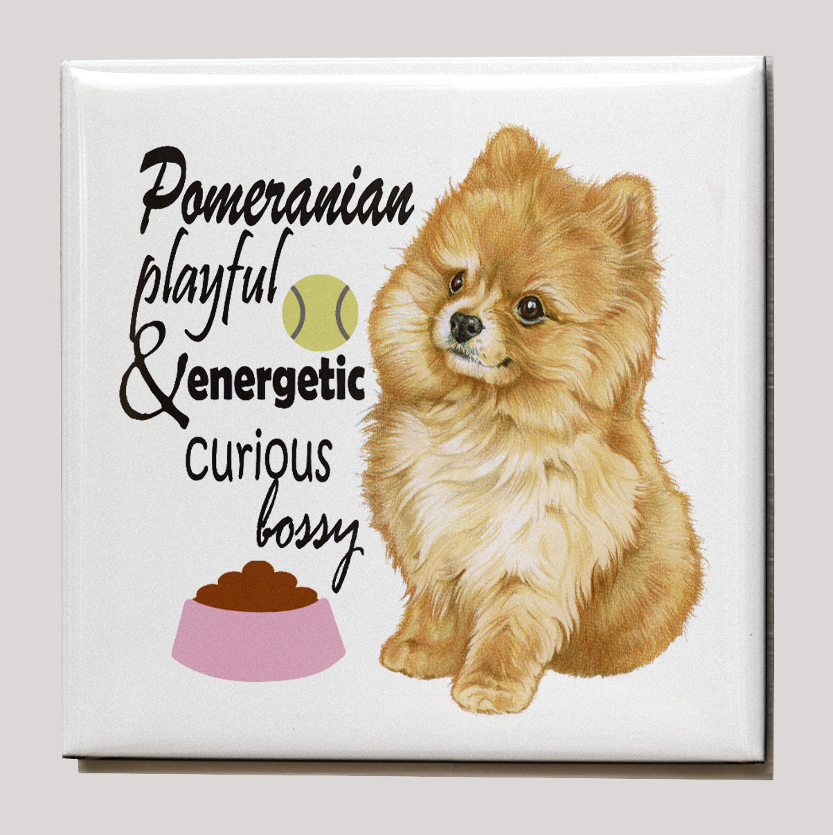 Koelkastmagneet - Pomeriaan met tekst