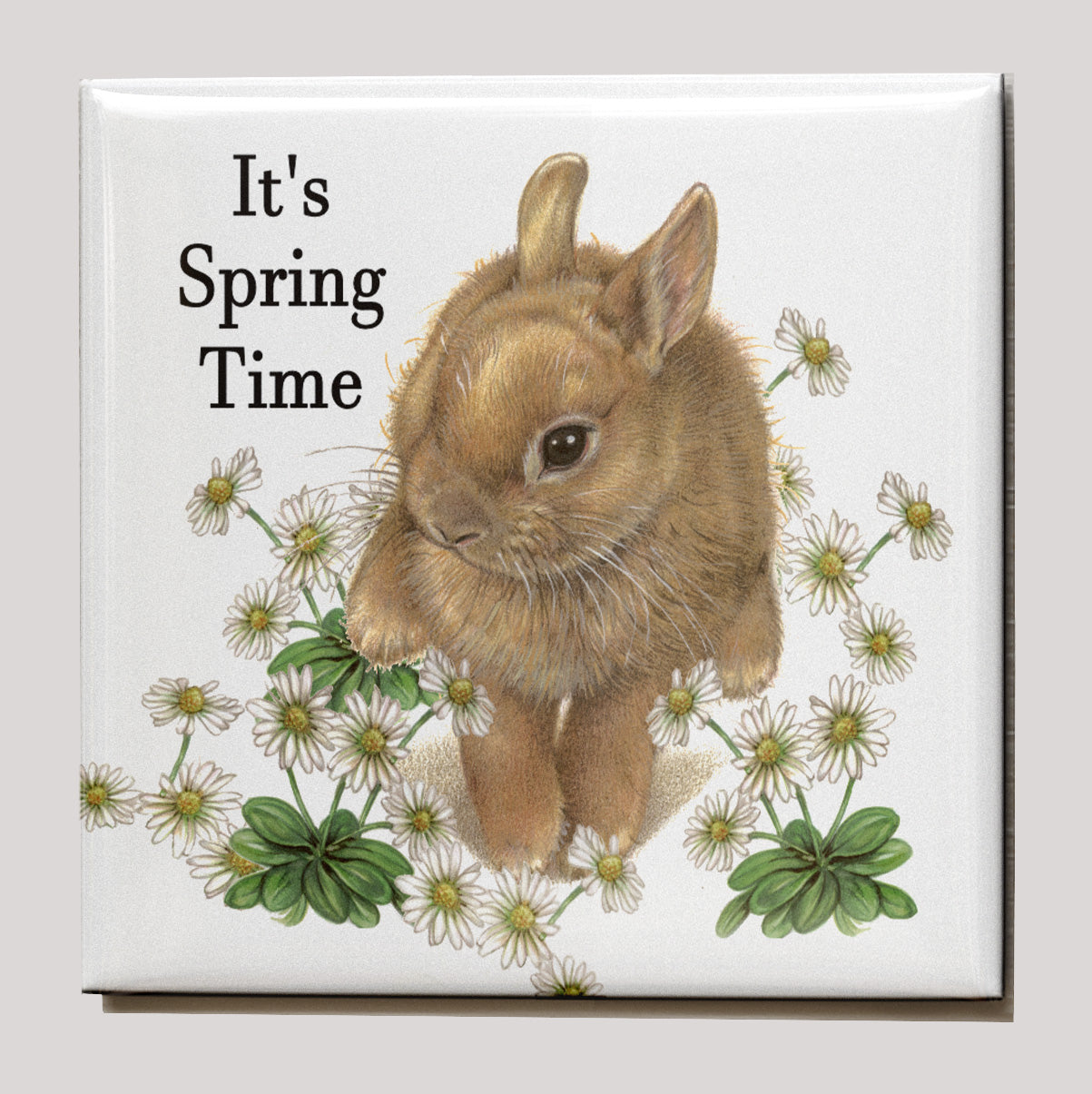 Kühlschrankmagnet - Kaninchen "It's Spring Time"