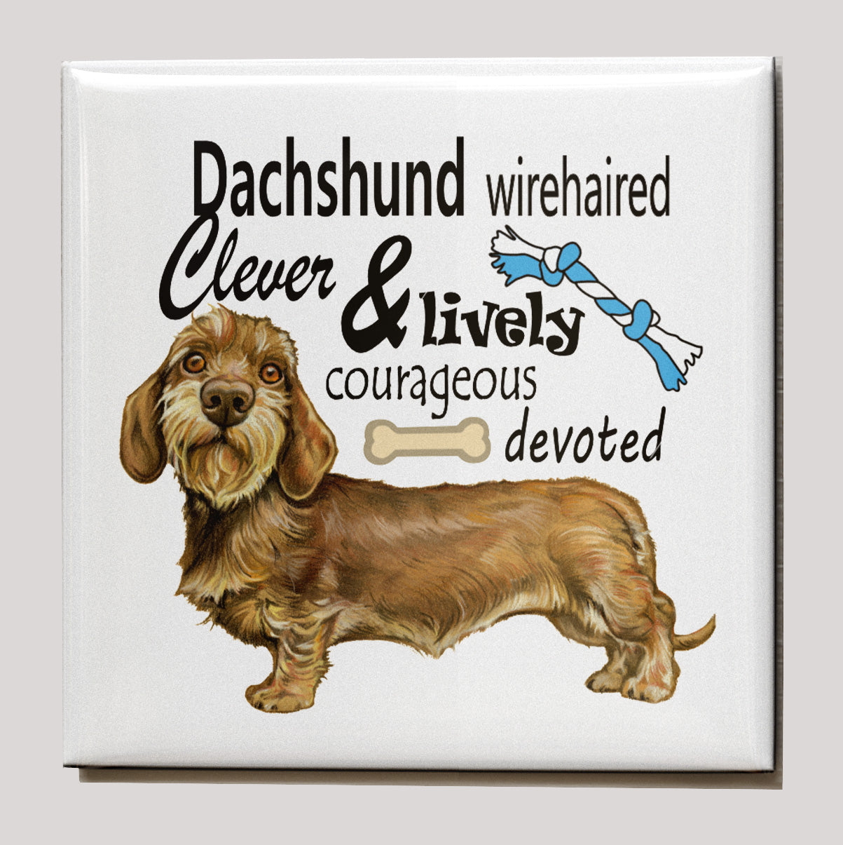 Kühlschrankmagnet - Dackel mit Text