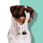 Koelkastmagneet - Jack Russell Terrier