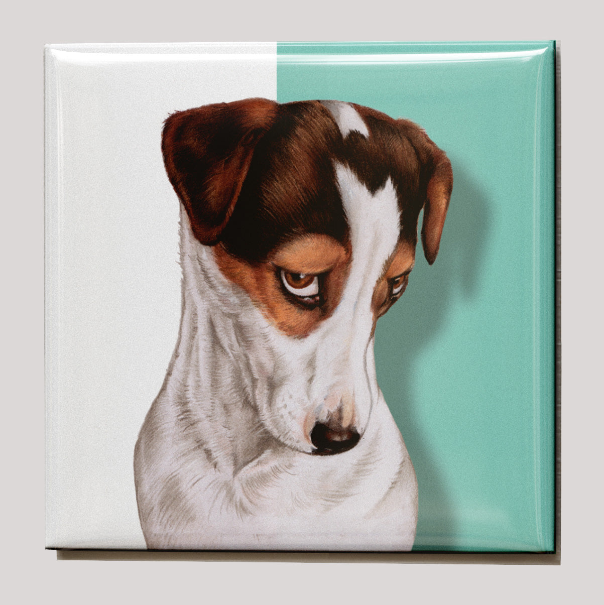 Kühlschrankmagnet - Jack Russell Terrier