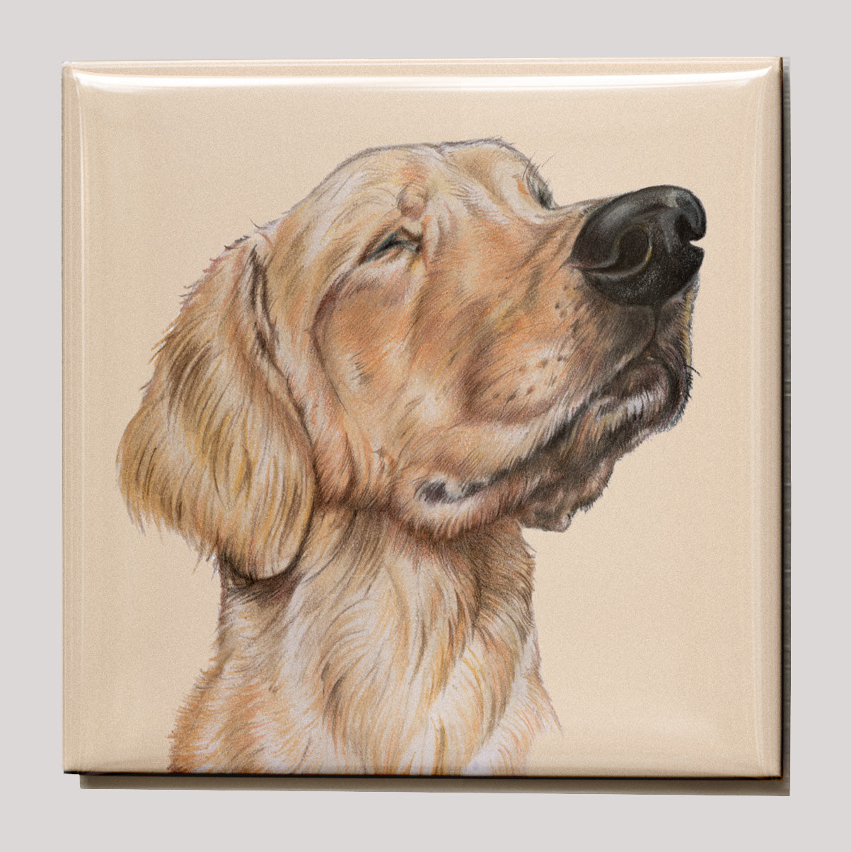 Kühlschrankmagnet - Labrador Retriever