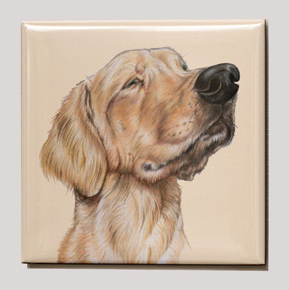 Kühlschrankmagnet - Labrador Retriever