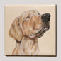 Kühlschrankmagnet - Labrador Retriever