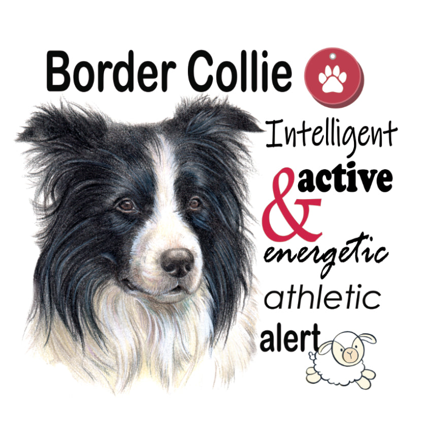 Kühlschrankmagnet - Labrador Retriever