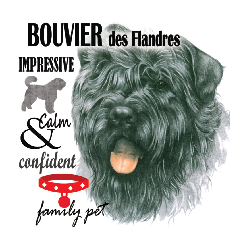 Koelkastmagneet - Bouvier