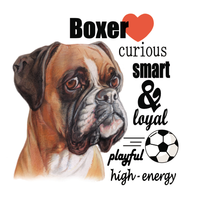 Koelkastmagneet - Boxer