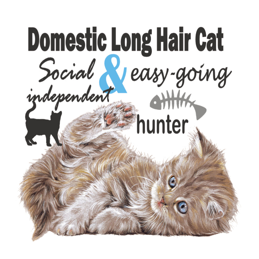 Koelkastmagneet - Europese Langhaar kat