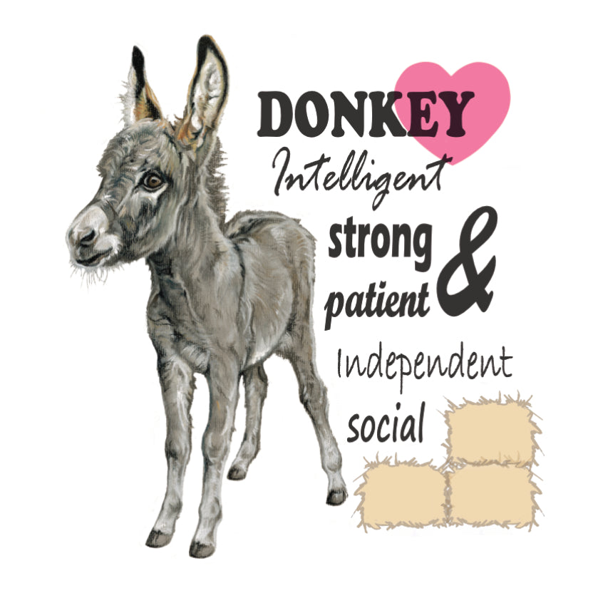 Koelkastmagneet - Ezel