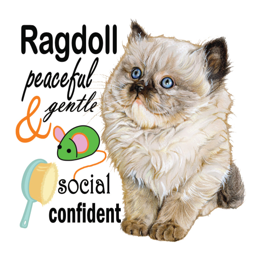 Koelkastmagneet - Ragdoll