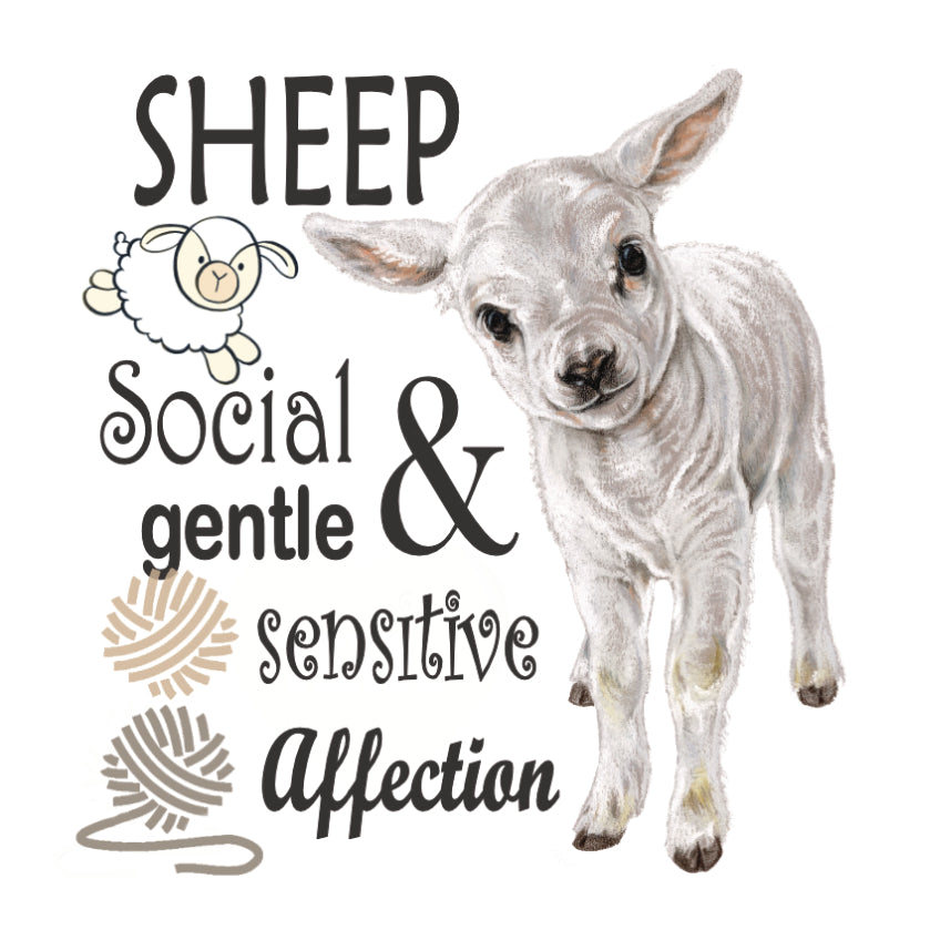 Koelkastmagneet - Schaap/Lam