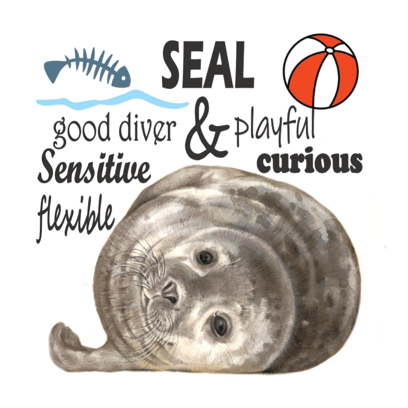 Koelkastmagneet - Zeehond