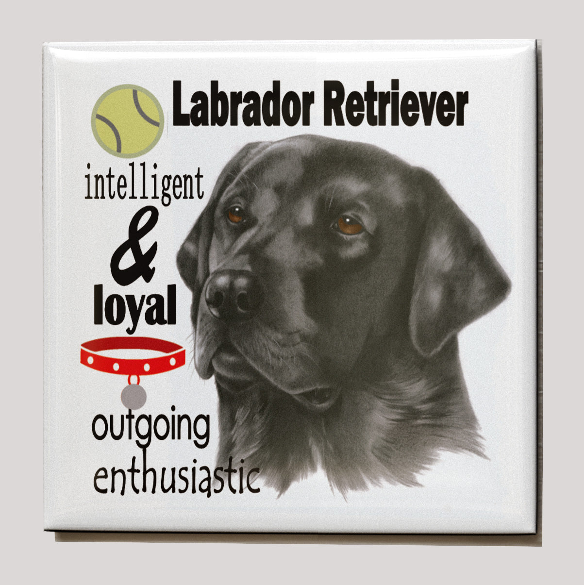 Koelkastmagneet - Zwarte Labrador Retriever