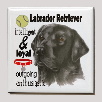 Koelkastmagneet - Zwarte Labrador Retriever