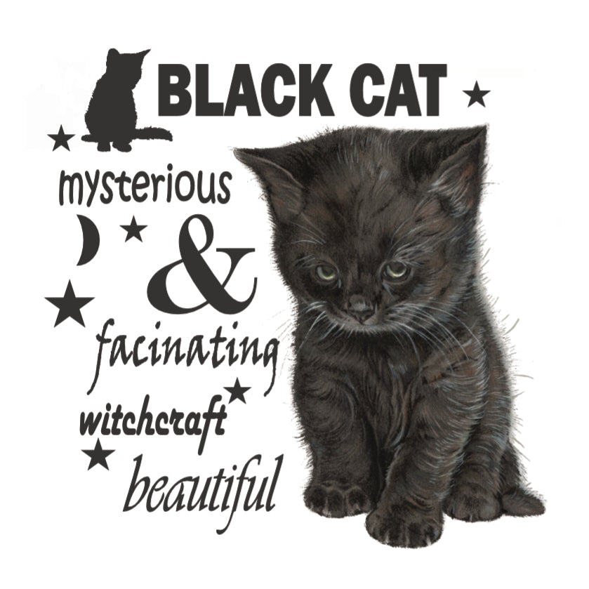 Koelkastmagneet - Zwarte Kat