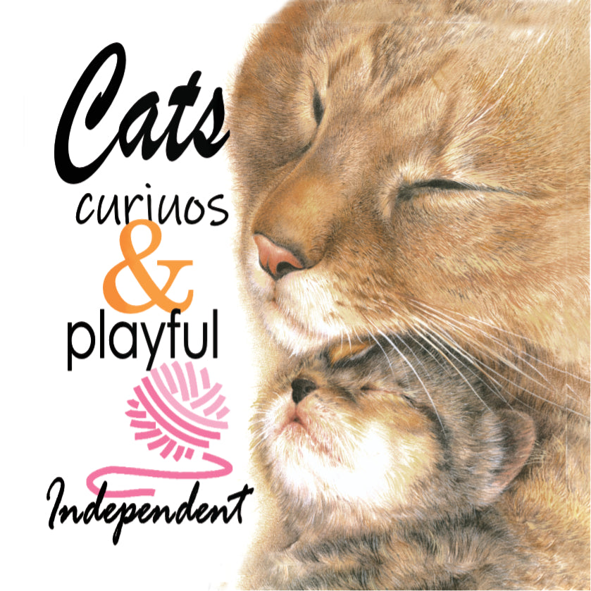 Koelkastmagneet - Moederpoes & Kitten