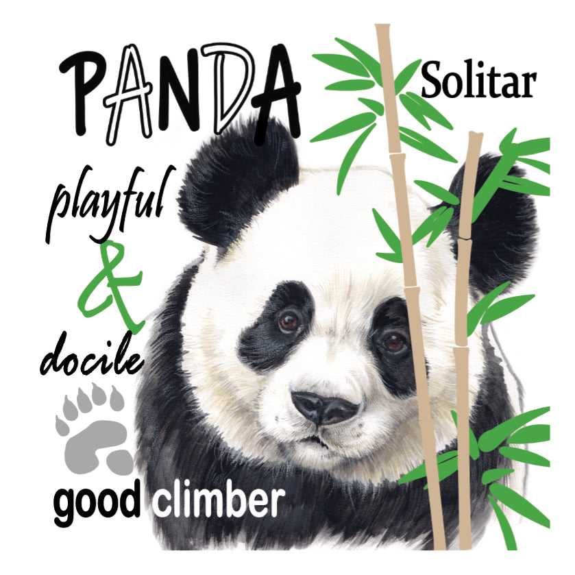 Koelkastmagneet - Panda