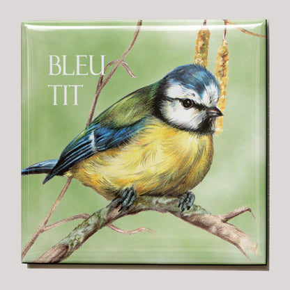 Koelkastmagneet - Pimpelmees / Bleu Tit