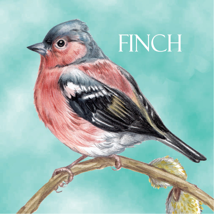 Koelkastmagneet - Vink / Finch