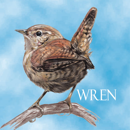 Koelkastmagneet - Winterkoninkje / Wren