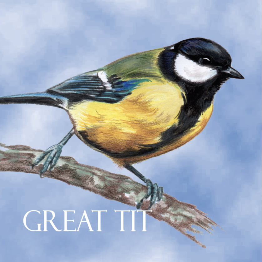 Koelkastmagneet - Koolmees / Great Tit