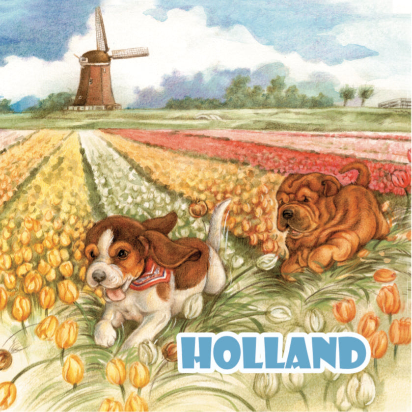 Koelkastmagneet - Hollandse Bloembollenvelden