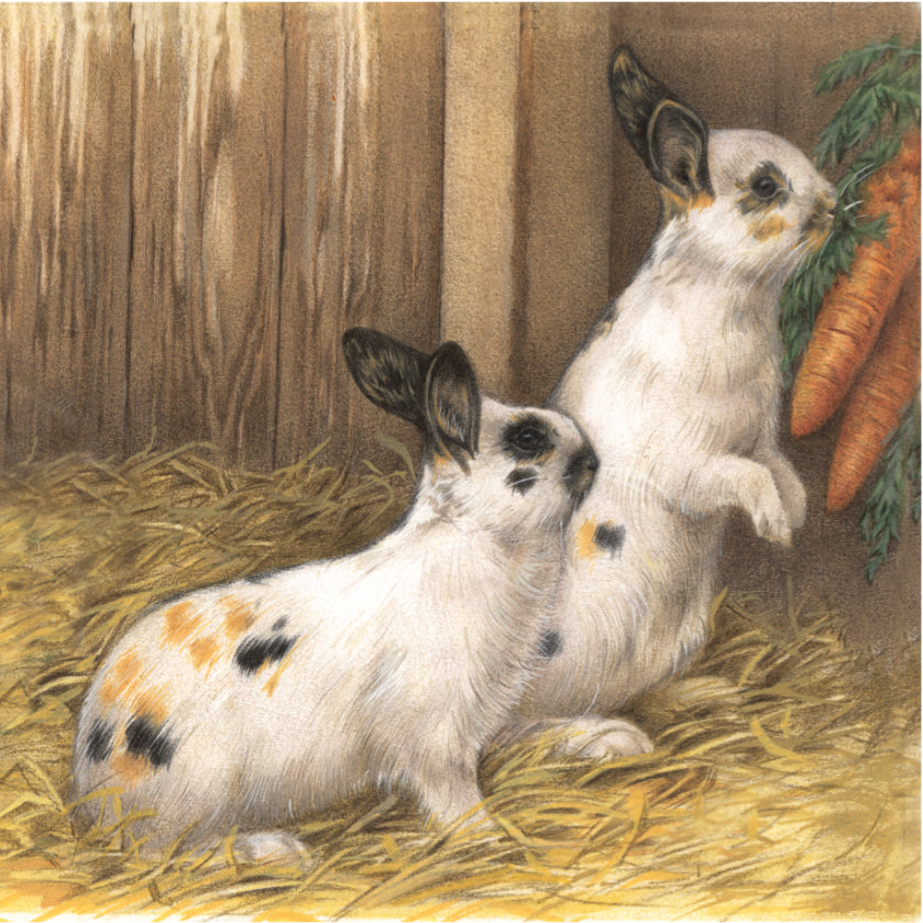 Koelkastmagneet - Konijnen