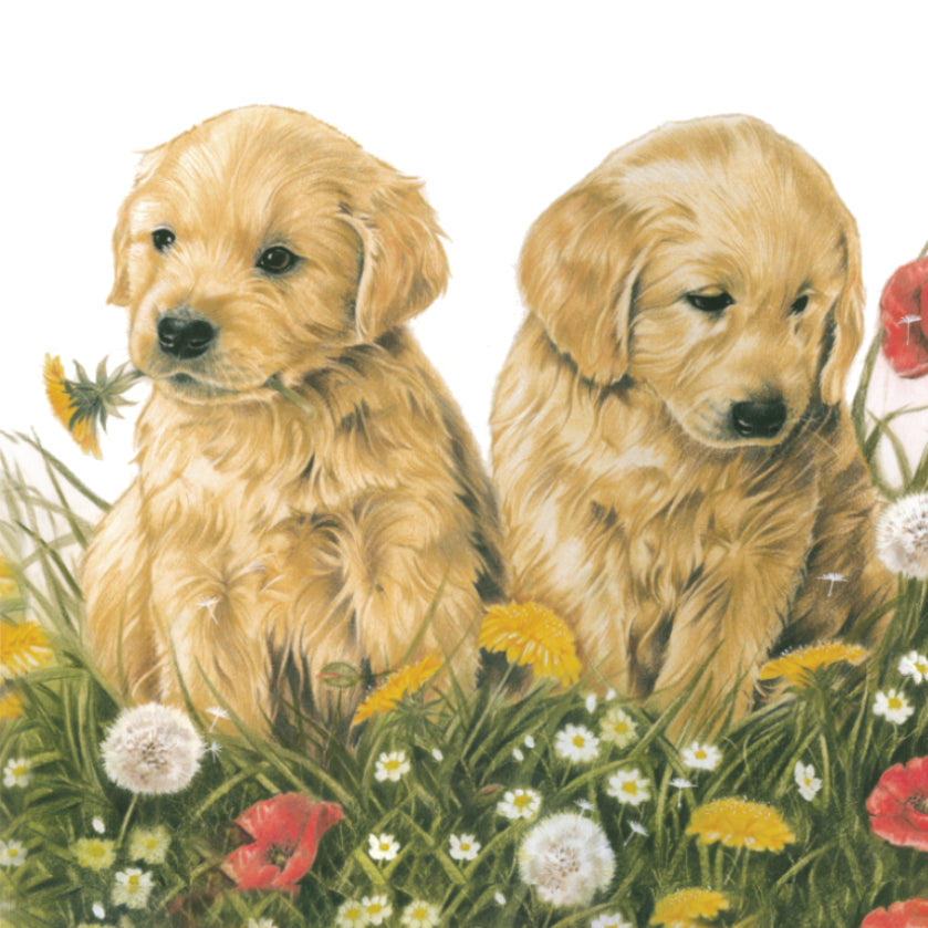 Koelkastmagneet - Golden Retriever pups