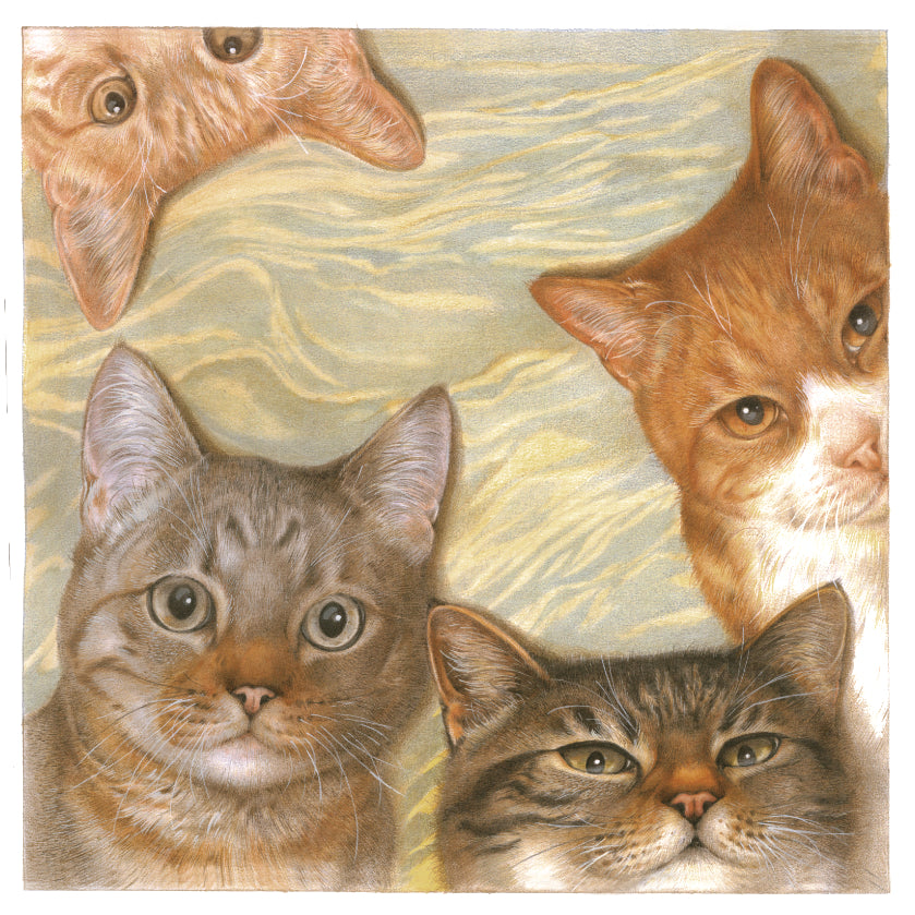 Koelkastmagneet - Kattencollage