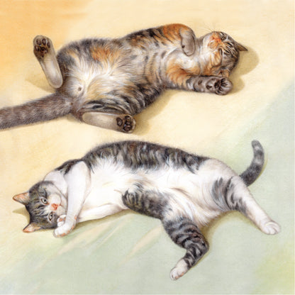 Koelkastmagneet - Liggende katten