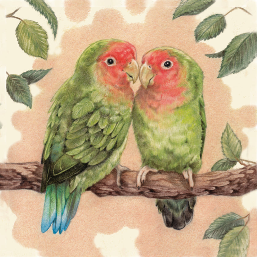 Koelkastmagneet - Agapornis - Lovebirds