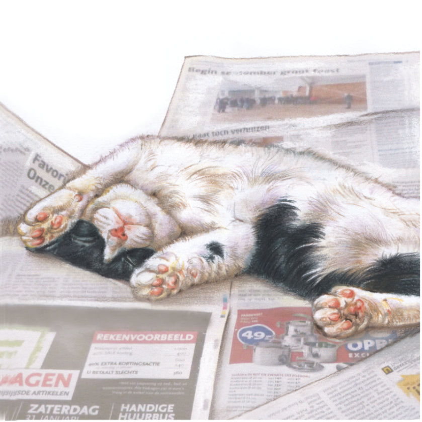Koelkastmagneet - Luie kat op krant