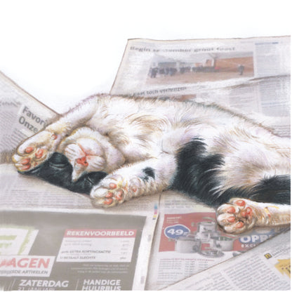 Koelkastmagneet - Luie kat op krant