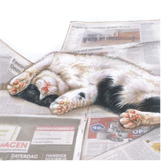 Koelkastmagneet - Luie kat op krant