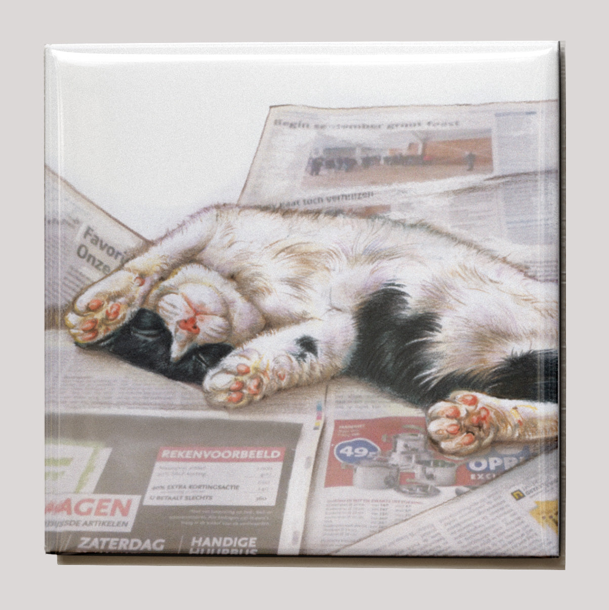 Koelkastmagneet - Luie kat op krant