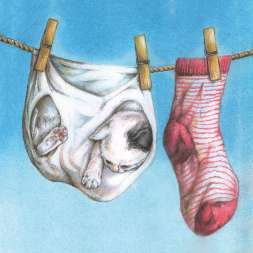 Koelkastmagneet - Kat aan de waslijn