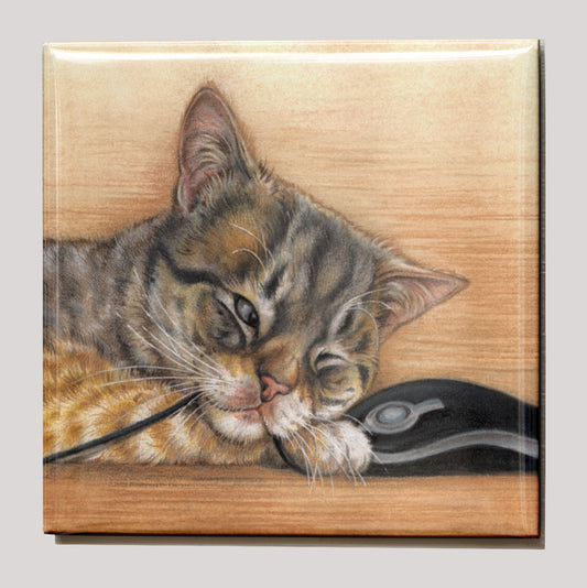 Koelkastmagneet - Kat met computermuis