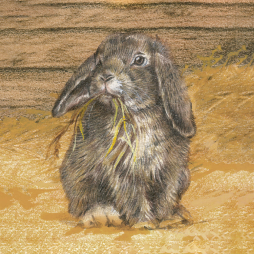 Koelkastmagneet - Konijn in de stro