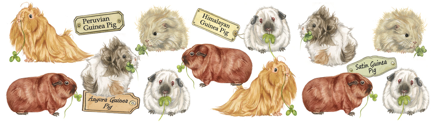 Mokken met collage - Cavia's -design 1