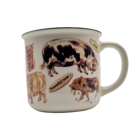 Mokken met collage - Varken