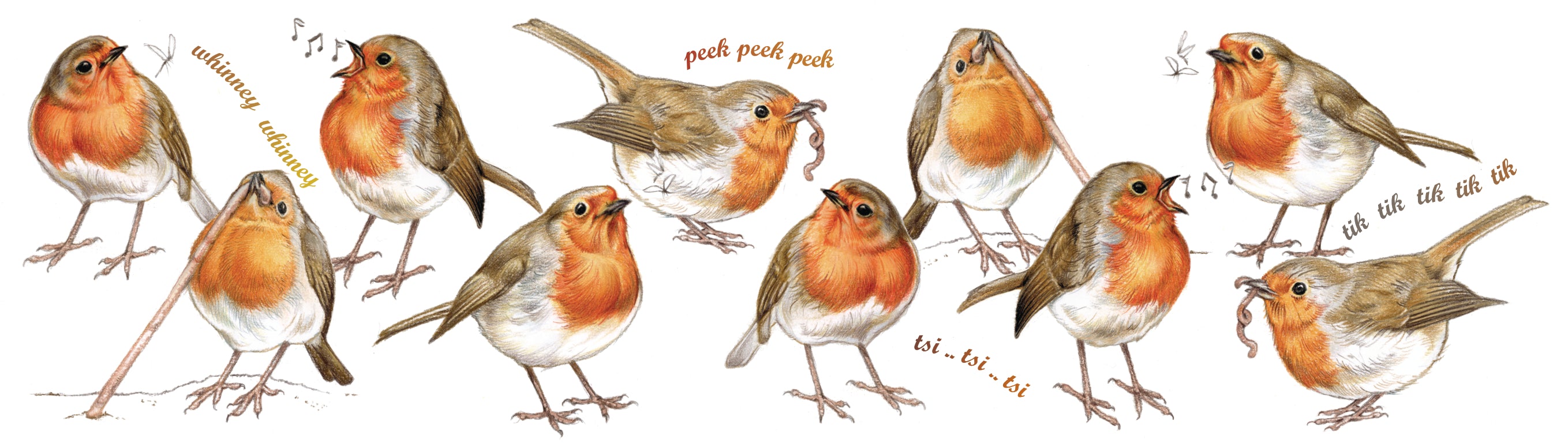 Mokken met collage - Roodborstjes/ Robin