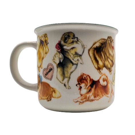 Mokken met collage - Pomeriaan