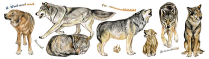 Mokken met collage - Wolf
