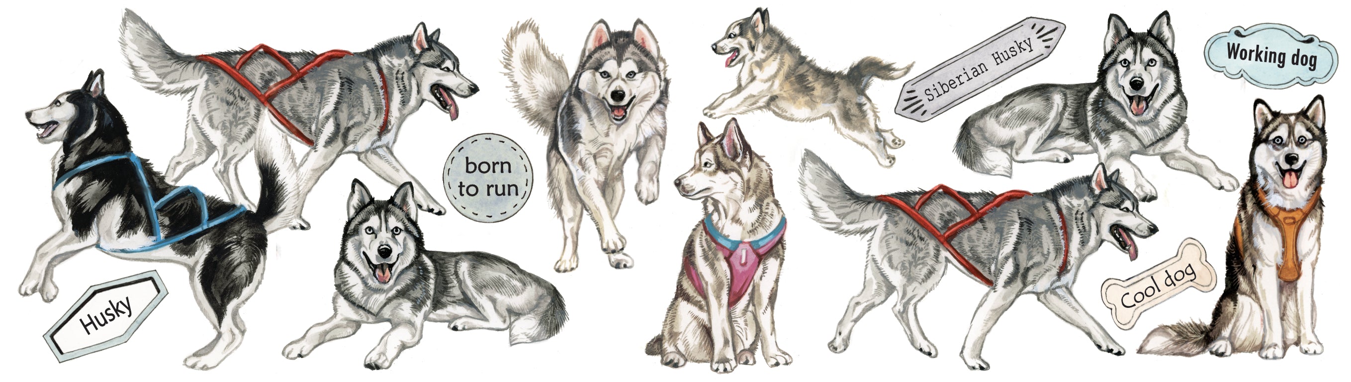 Mokken met collage - Husky