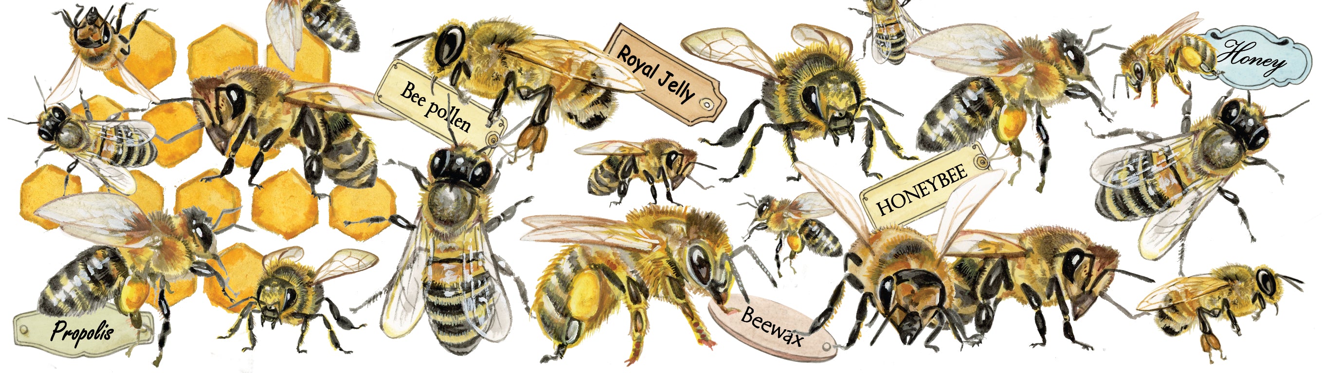 Mokken met collage - Bijen