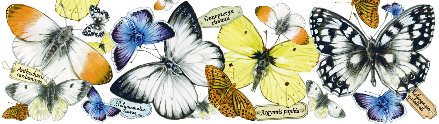 Tassen mit Collage - Rotkehlchen