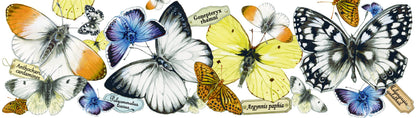 Tassen mit Collage - Rotkehlchen