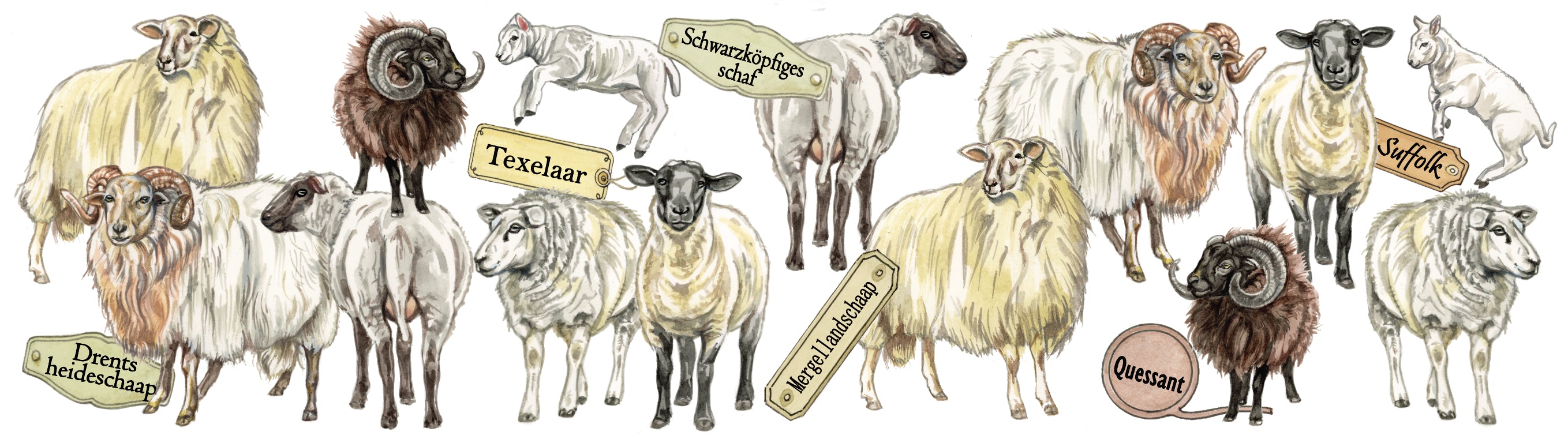 Mokken met collage - Schapen