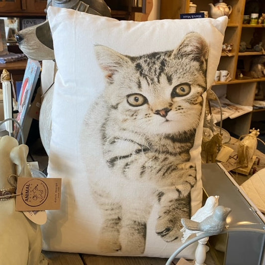 Kissen mit Katzenmotiv – Kätzchenmuster